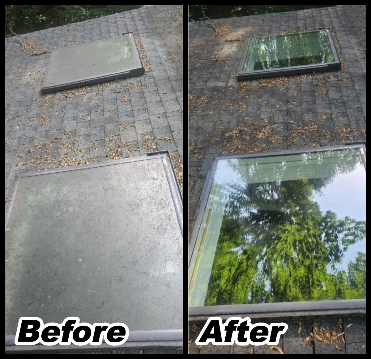 Skylight cleaning before and after: cloudy skylights, then clear glass reflecting the trees